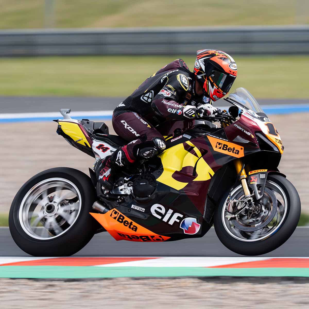 SAM LOWES on Elf marc VDS Ducati